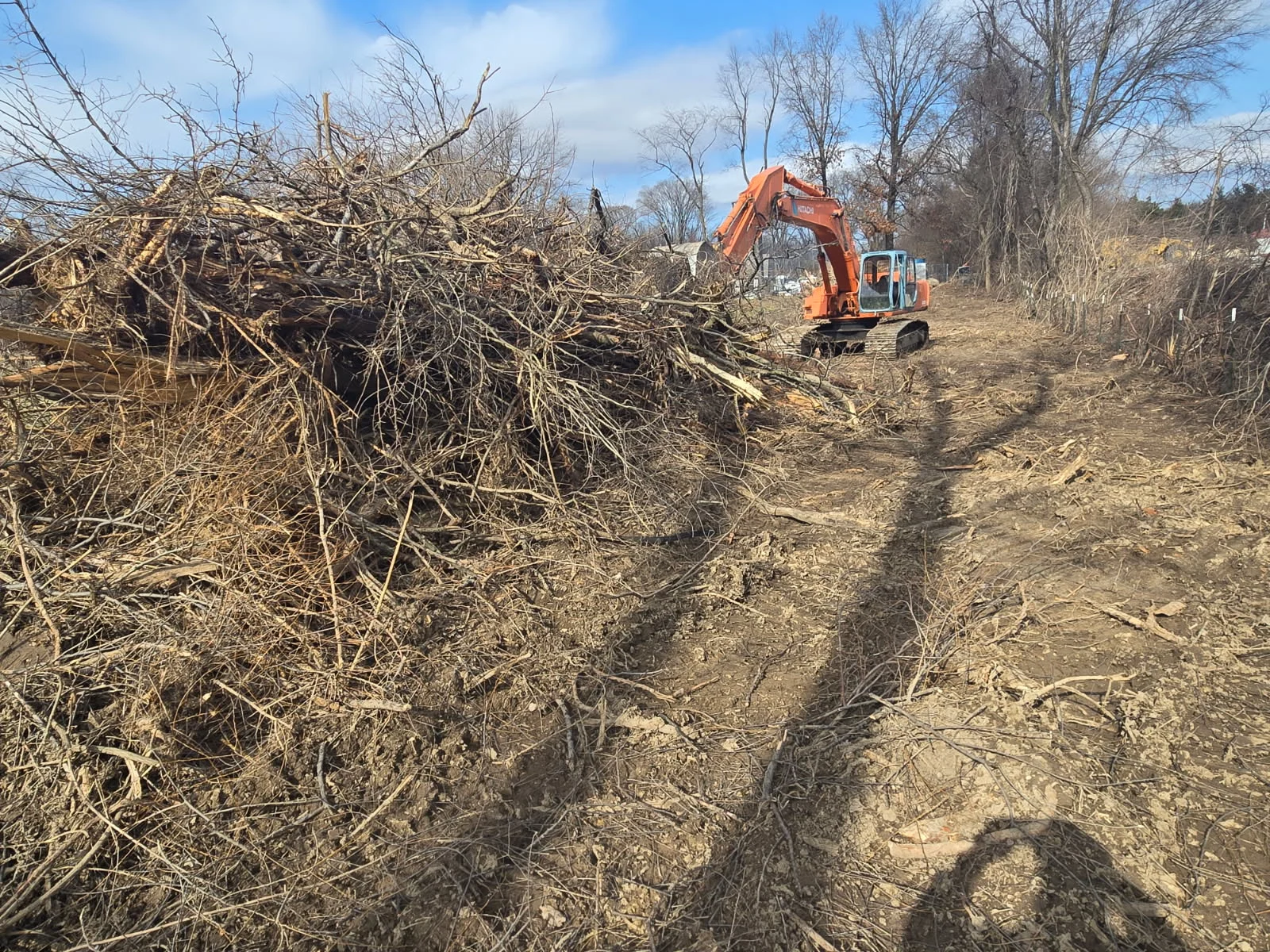 NWI Asphalt excavator clearing trees, brush and vegetation during commercial land preparation for a future construction project.